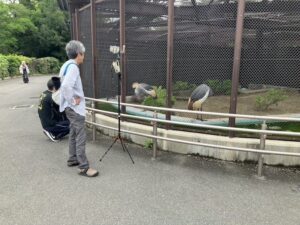 Sound Walk at Tennoji Zoo-3