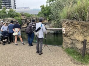 Sound Walk at Tennoji Zoo-4