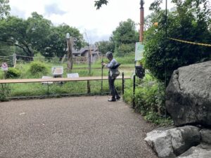Sound Walk at Tennoji Zoo-6